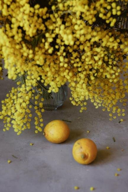 Incorporating Natural Elements ‍for ‍Inspiration and Calm